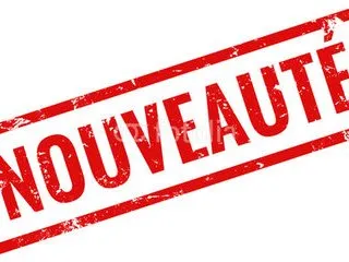 Les nouveaux formulaires de permis de construire et de déclaration préalable prochainement disponibles : que faut-il en attendre ?