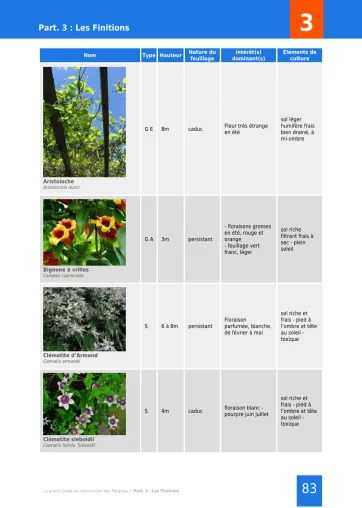 Extrait de la rubrique plantes grimpantes pour pergolas