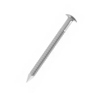 Pointe annelée tête bombée - Inox A2 D=2.3mm, L=50mm, CDT1KG - ARA22.3X50 - Réf. 75033